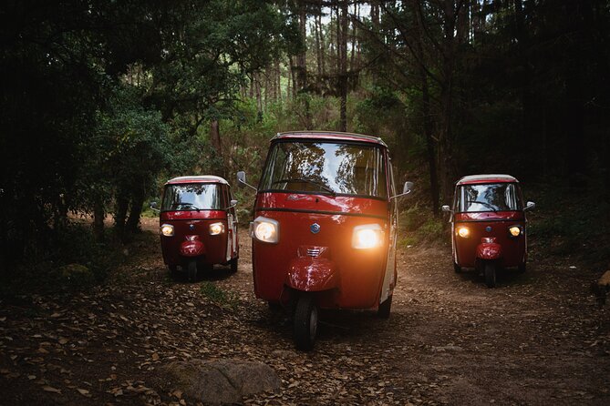 1-Hour Guided Tuk-Tuk Tour in Sintra - Stop 2: Sintra National Palace photo viewpoint