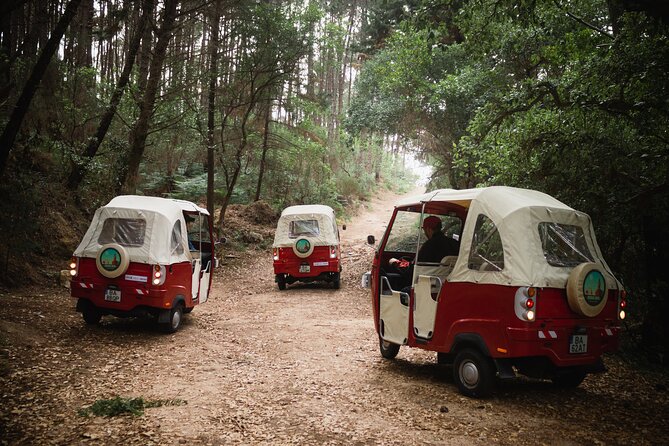 1-Hour Guided Tuk-Tuk Tour in Sintra - Stop 3: Palácio e Parque Biester in the forest magic