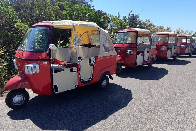 1-Hour Guided Tuk-Tuk Tour in Sintra - Stop 4: Ancient Duck Houses at Park of Pena