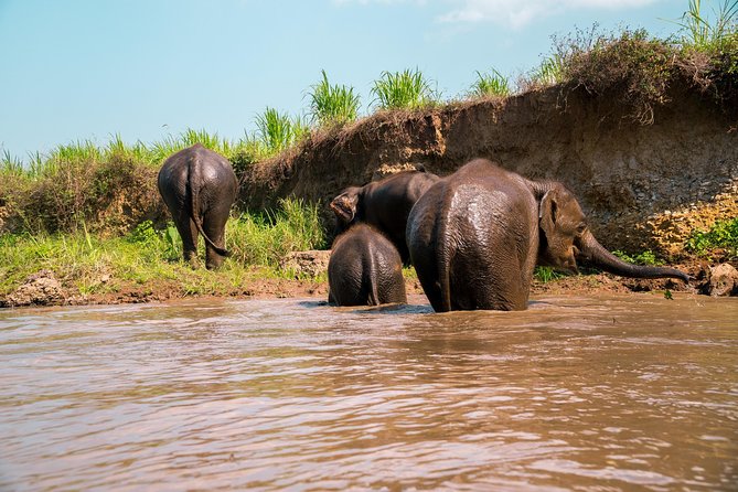 11 Day Tuk Tuk Adventure in Northern Thailand - Chiang Mai meeting point and the Day 1 training that sets the tone