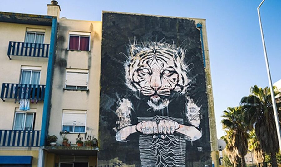 3h Street Art Tuk Tuk Tour Free Pickup - Key highlights worth knowing before you go