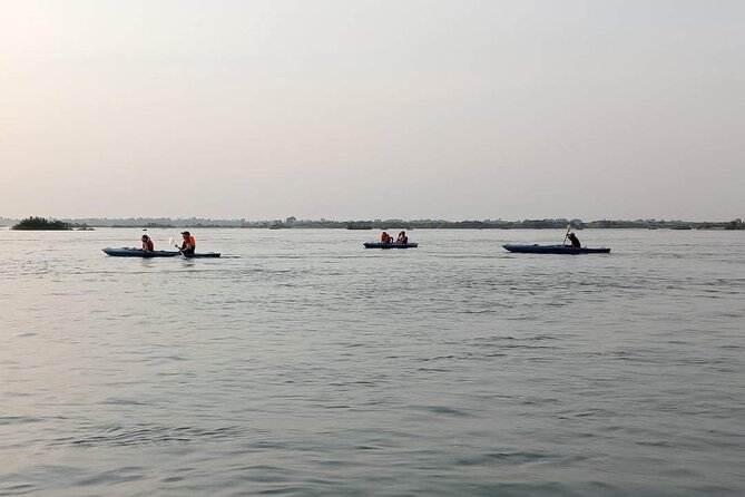 4 hours taking tuk tuk to see Mekong dolphins and countryside - Who This Tour Fits Best (and Who Might Want a DIY Approach)