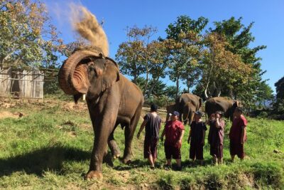 5 Day Tuk Tuk Adventure in Chiang Mai - with driver - Day 1: Mae Wang National Park and your local hotel base