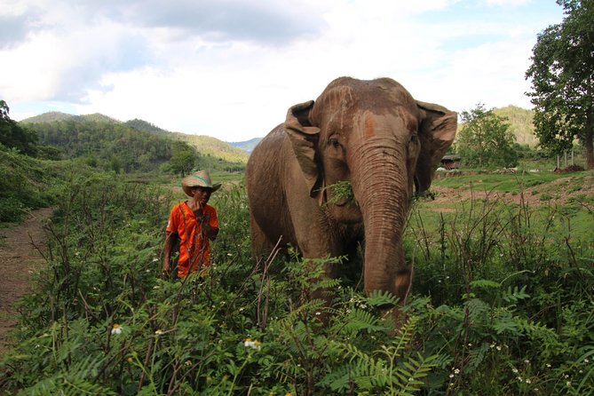 A stunning 11 Day Tuk Tuk Adventure in Northern Thailand - with driver - Why a driver in a custom tuk-tuk really changes the trip