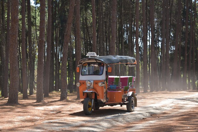 A stunning 11 Day Tuk Tuk Adventure in Northern Thailand - with driver - Food, tickets, and what the tour actually covers
