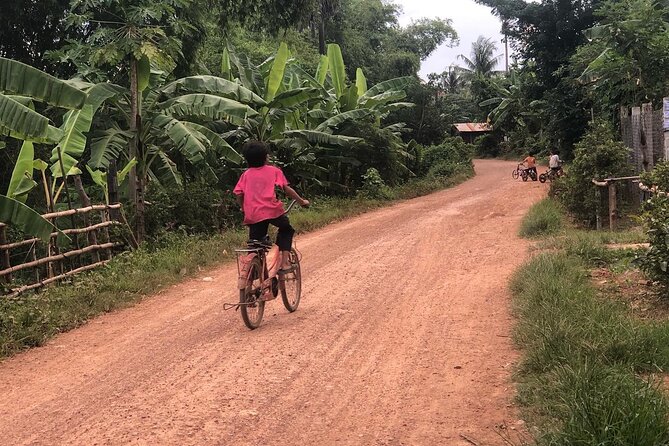 Afternoon tour by tuk tuk to bamboo train,bat cave,killing cave,countryside. - Bat Caves at Battambang: why the timing is the whole point