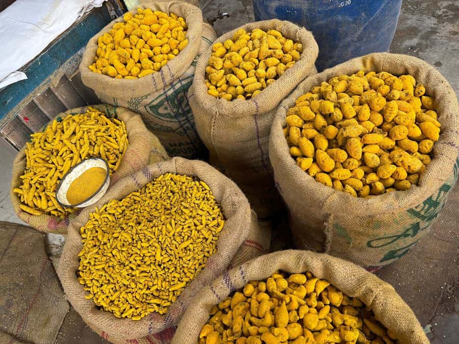 Agra: Street Food Tour with Spice Market on Tuk-Tuk Ride - Price and value: what $16 buys in Agra street food terms