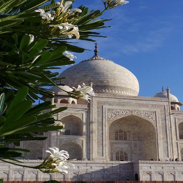 Agra: Taj Mahal Guided Tour with Tuk-Tuk - Who This Tour Fits Best (And Who Should Rethink It)