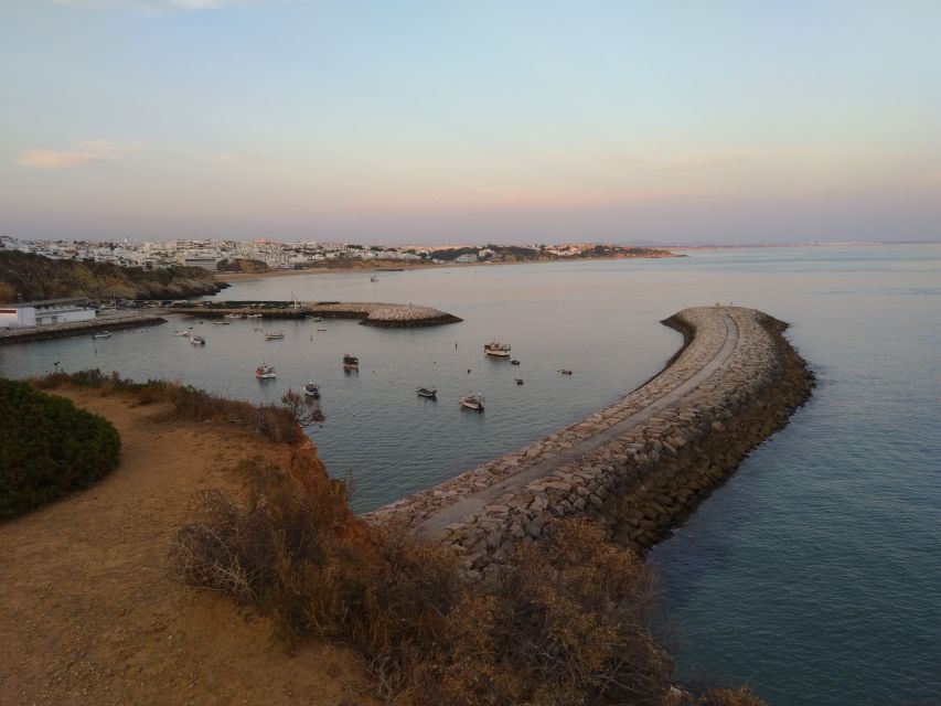 Albufeira: Guided Tour by Tuk-Tuk - Marina and Fishing Docks: Where the Algarve Still Feels Like Work