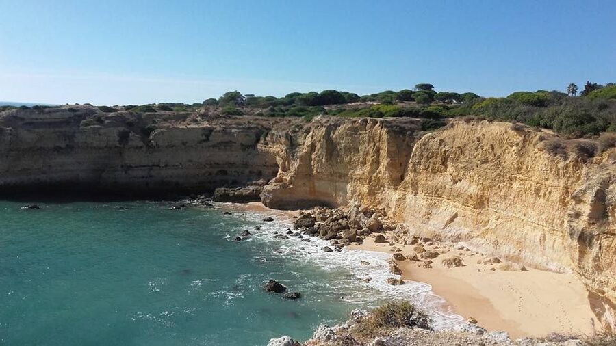 Albufeira: Private Tuk Tuk Tour - Meeting at Senhor Frog’s and Finding the Right Touring Pace