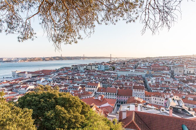 Alfama Private Tuk Tuk Tour: Lisbon’s Oldest Neighborhood (2 HRS) - Price and Value: What You’re Paying For in This Tour