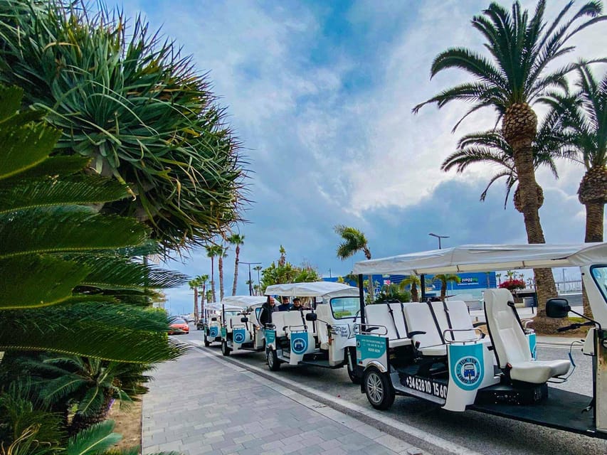 Alicante Tuk Tuk Overview Tour - MARQ museum timing and Santa Bárbara Castle viewpoints