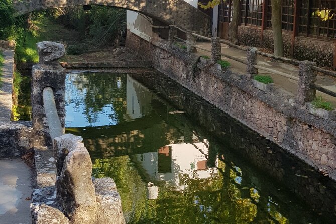 All Day Private Custom Tuk Tuk Tour - Pau da Bandeira viewpoint: quick, iconic, and efficient