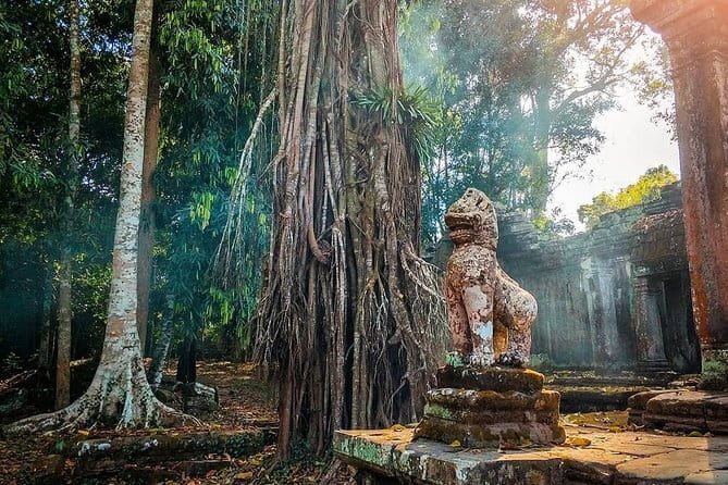 Amazing full day TUKTUK tour - Ta Prohm: the jungle temple with Tomb Raider vibes