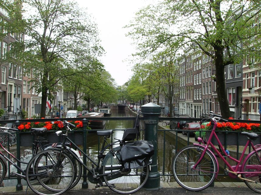 Amsterdam 1-Hour Rickshaw Tour - Comfort, Hills, and Rain: What to Plan For