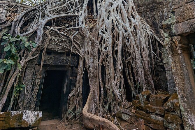 Angkor Wat Private Tuk-Tuk Tour (sunrise Option) & more - Stop 1: Angkor Wat at sunrise (the iconic start)