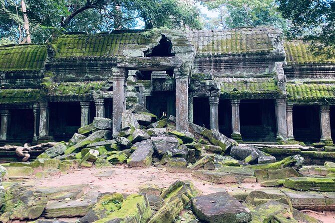 Angkor Wat Sunset TUK TUK Tour - Ta Prohm: Where Rainforest Trees Take Over