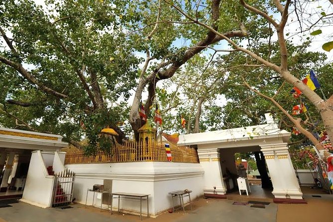 Anuradhapura: 14 Ancient City Sites Tuk Tuk Tour - How the day runs: pickup, the app, and the pacing