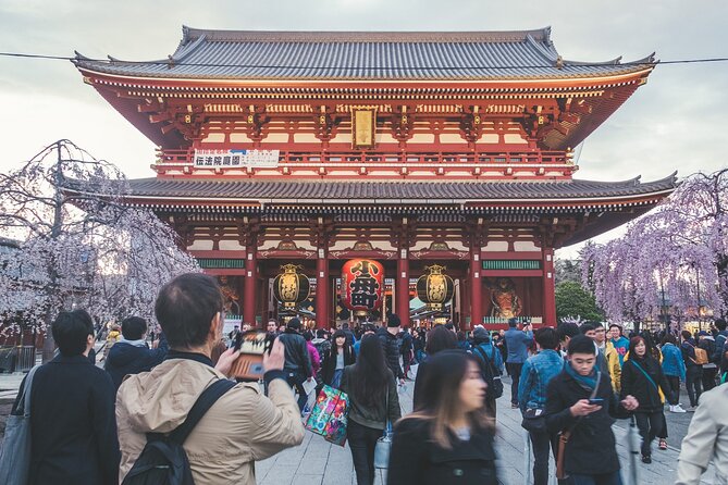 Asakusa, Tokyo: Rickshaw Experience and Highlights Walking tour - Senso-ji Temple: Seeing the Main Gate and Getting the Meaning