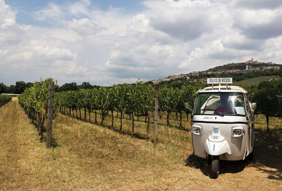 Assisi: Panoramic Tuk Tuk Tour - Getting your bearings fast: the route covers Assisi’s top monument zones
