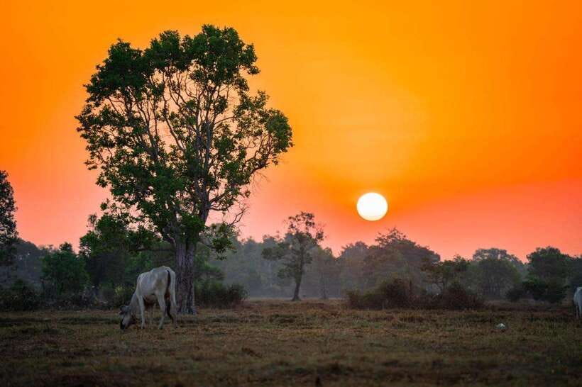 Authentic Siem Reap: Tuk Tuk Countryside and Sunset Tour - From Siem Reap pickup to real countryside rhythms