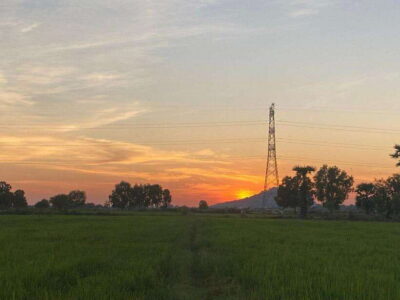 Authentic Siem Reap: Tuk Tuk Countryside and Sunset Tour - The market stop that explains how food culture changes