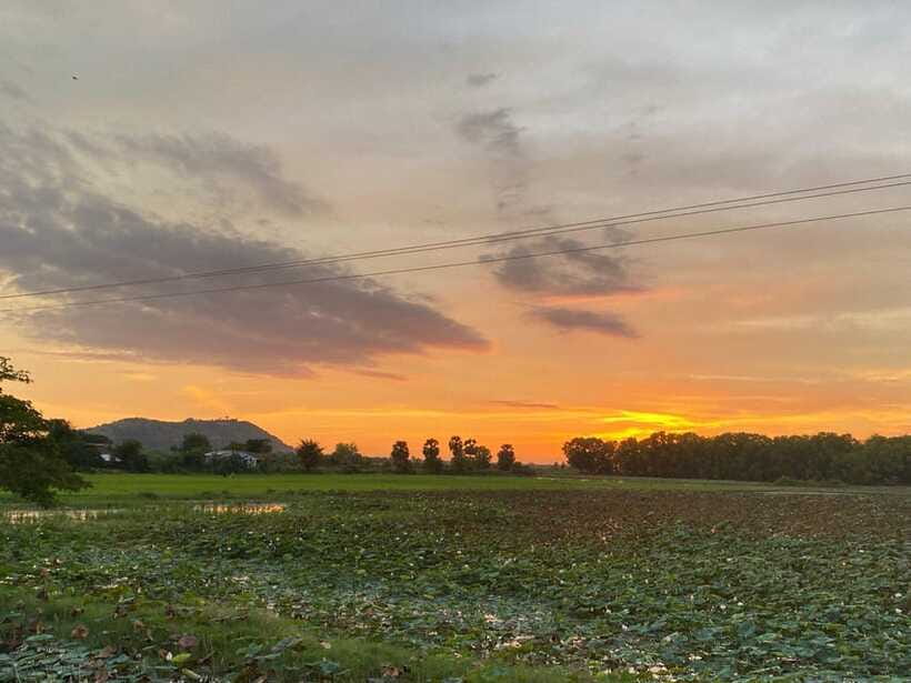 Authentic Siem Reap: Tuk Tuk Countryside and Sunset Tour - Rice farm and rice wine distillation: where the “why” becomes real