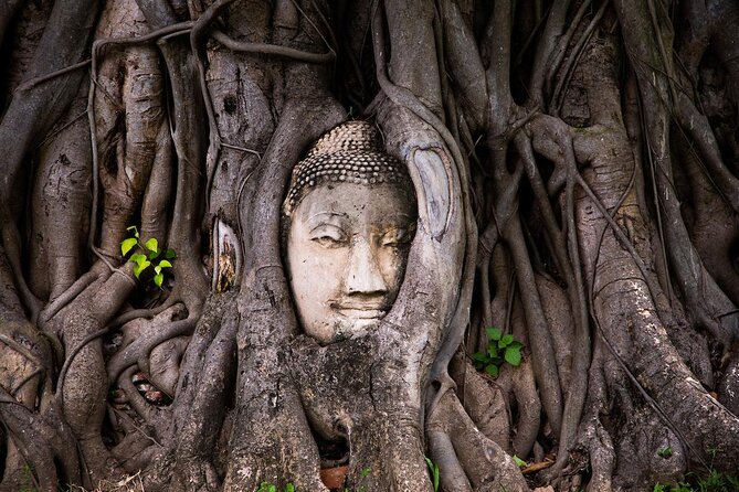 Ayutthaya Funky Frogy Tuk Tuk Experience With Famous Temple - Key highlights you’ll feel during the day