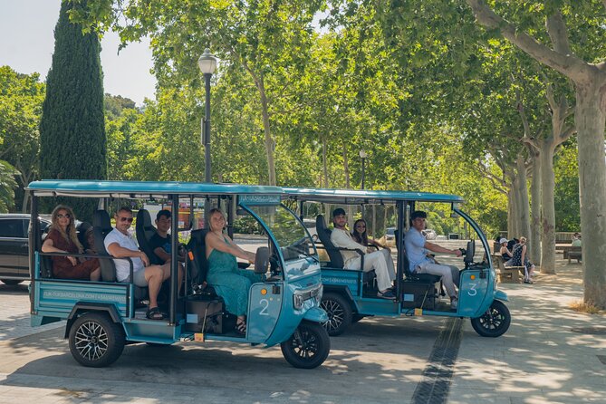 Barcelona 2 Hours Private Tuk-Tuk Tour - Montjuïc views without the long slog