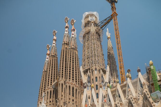 Barcelona: City Highlights Private Tuk-Tuk Tour - Montjuïc: The Hilltop Views That Put It All Together