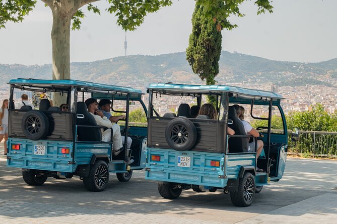 Barcelona Panoramic Private Tuk Tuk Tour - Key things I’d zero in on