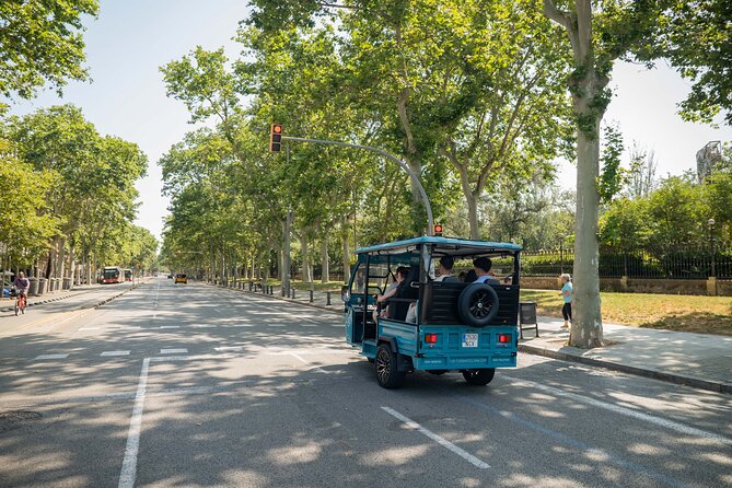Barcelona Panoramic Private Tuk Tuk Tour - Montjuïc views: a quick ticket-free pause with big payoff
