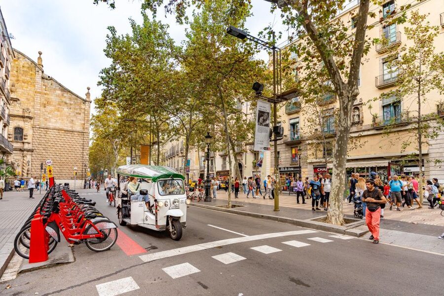 Barcelona: Private City Tour by Eco Tuk Tuk - Who Should Book This Eco Tuk Tuk Tour