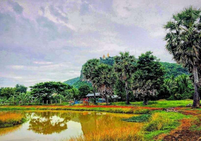 Battambang: Bamboo Train, Bat Cave, Killing Cave by Tuk Tuk - Local Temple and Pagoda Time: Calm Stops Before the Heavier Sites