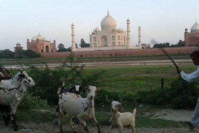 Behind the Taj Mahal with Sunrise or Sunset view by Tuk Tuk Ride - Stop-by-Stop: Taj Mahal Time Without Feeling Rushed