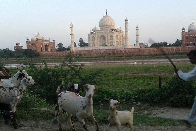 Behind the Taj Mahal with Sunrise or Sunset view by Tuk Tuk Ride - Stop-by-Stop: Taj Mahal Time Without Feeling Rushed