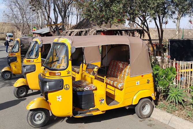 Bicycle or Tuk Tuk Soweto Guided Experience - Key highlights to know before you go