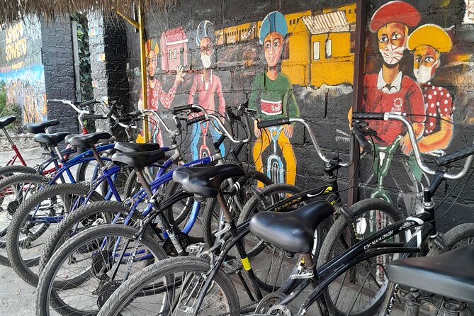 Bicycle or Tuk Tuk Soweto Guided Experience - Lunch at the Boma & Outdoor Restaurant: potjie and pap by the fire