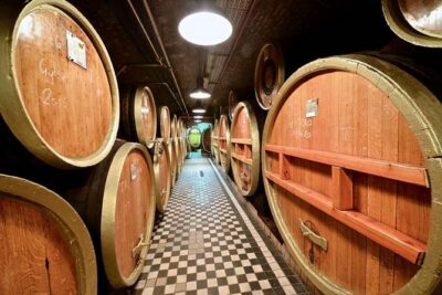 Budapest Tuk Tuk Tour with House of the Unicum Distillery Visit - Getting on Board: Pickup, Timing, and a Real Private Guide
