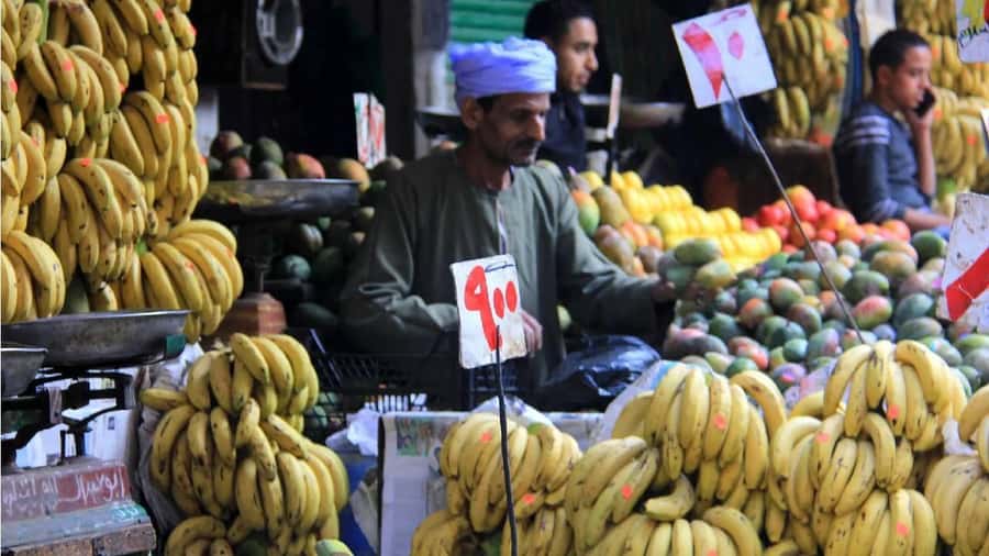 Cairo: Local Market Guided Tour with Tuk-tuk Ride & Lunch - A Four-Hour Taste of Everyday Cairo