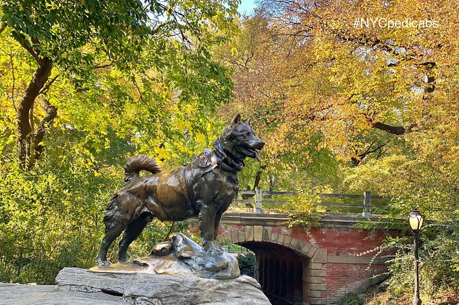 Central Park Pedicab Rickshaw Tours - Gapstow Bridge, the zoo area, and Balto: quick hits with easy photo options