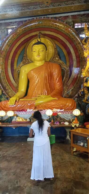 Colombo Sightseeing Private Tour by Tuk Tuk MorningOREvening - Viharamahadvi Park and a tea stop at Zylen