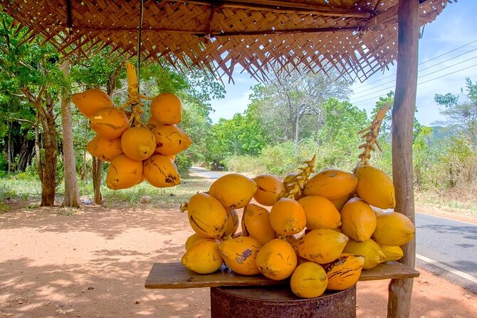 Colombo Tuk Tuk Adventure Explore Food & Culture - Viharamahadevi Park and Cinnamon Gardens: where the city slows down