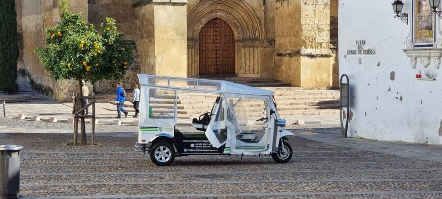 Córdoba: Guided City Tour by Tuk-Tuk - Who this tuk-tuk tour is best for