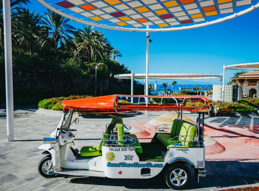 Costa Adeje: Tuk Tuk Tour - Language options: what you can realistically count on