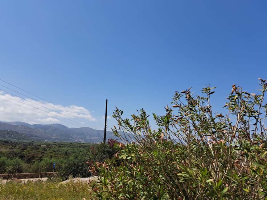 Crete: Malia, Potamos Beach, and Sissi Tuk Tuk Tour - Key Points I’d Focus On