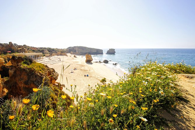 Discover Albufeira in a Tuk Tuk - Your Route Starts at Taberna Vicentina, Then Turns Toward the Coast