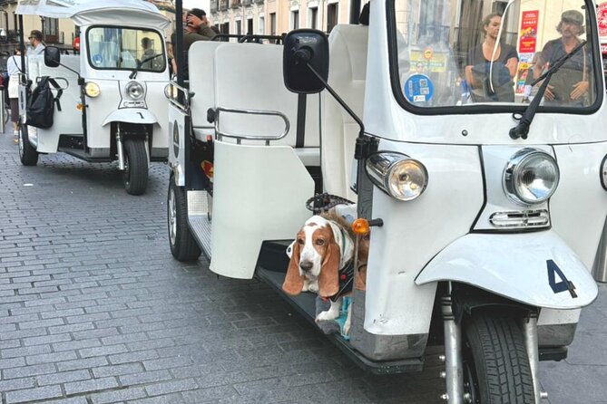 Discover Madrid in a Fun & Eco-Friendly Tuk-Tuk – Private Tour - Eco-Friendly Doesn’t Mean Low Comfort