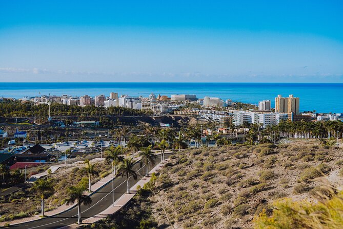 Double Tuk Tuk Tour in Costa Adeje - Aqualand and the viewpoint moments you might miss