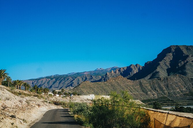 Double Tuk Tuk Tour in Costa Adeje - Small-group vs private: comfort is the real decision